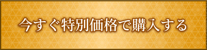 今すぐ特別価格で購入する